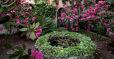 i giardini di Buggiano Castello giardini-segreti-buggiano-castello