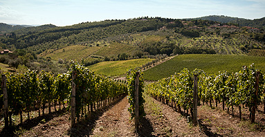 Antico e sempre nuovo storia-di-un-vino-conosciuto-in-tutto-il-mondo
