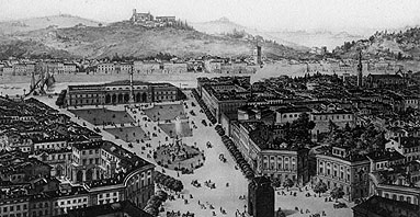 Piante da Capitale