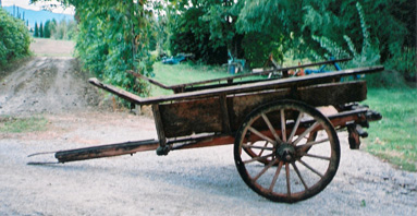 Azienda Agricola Storica Gelli