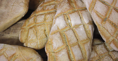 La Pagnotta