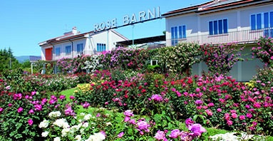 Rose Barni rose-barni