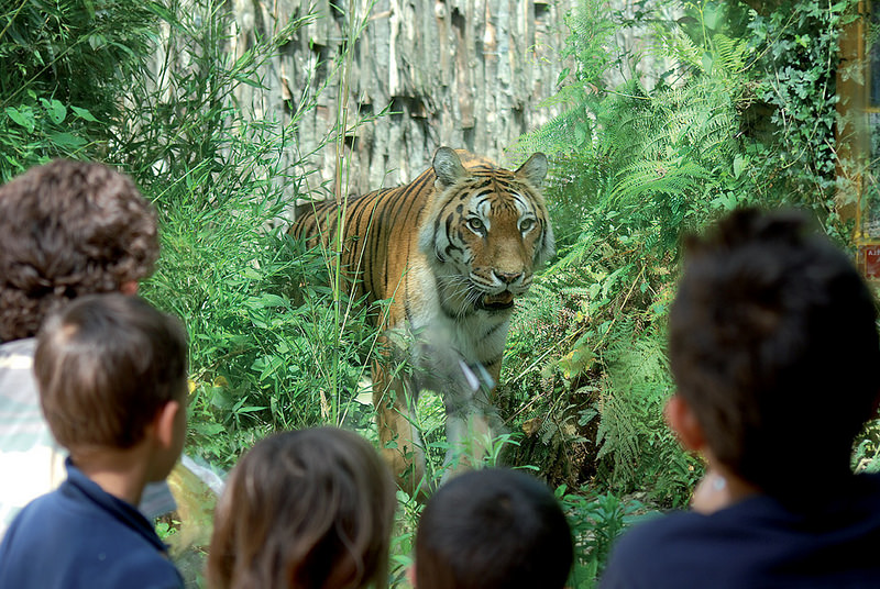 Zoo di Pistoia