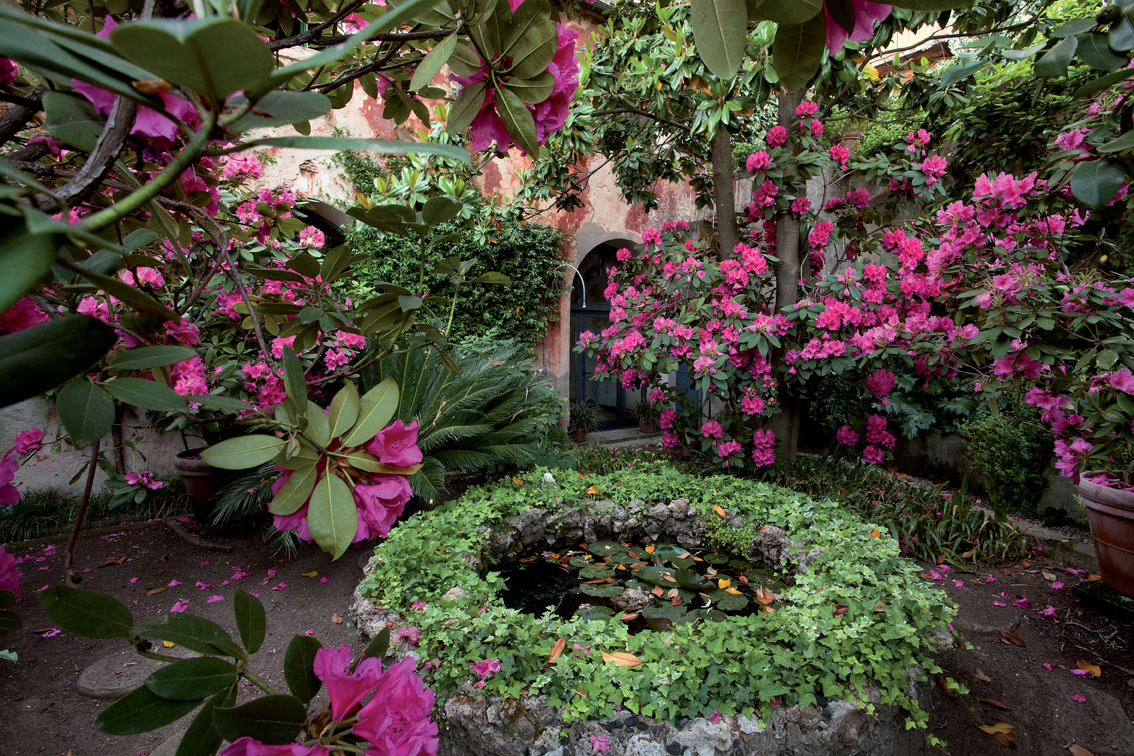giardini buggiano 8