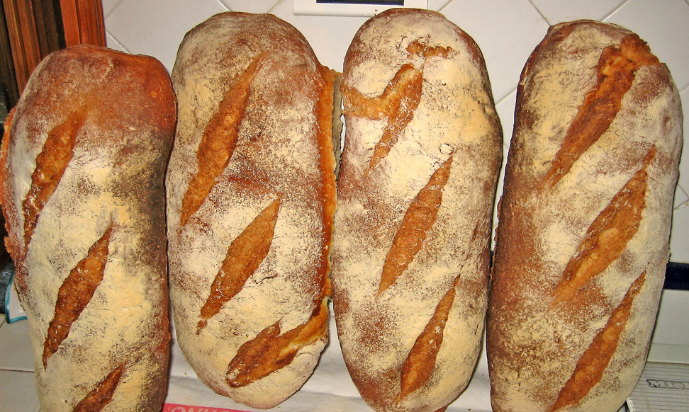 pane 1024x690