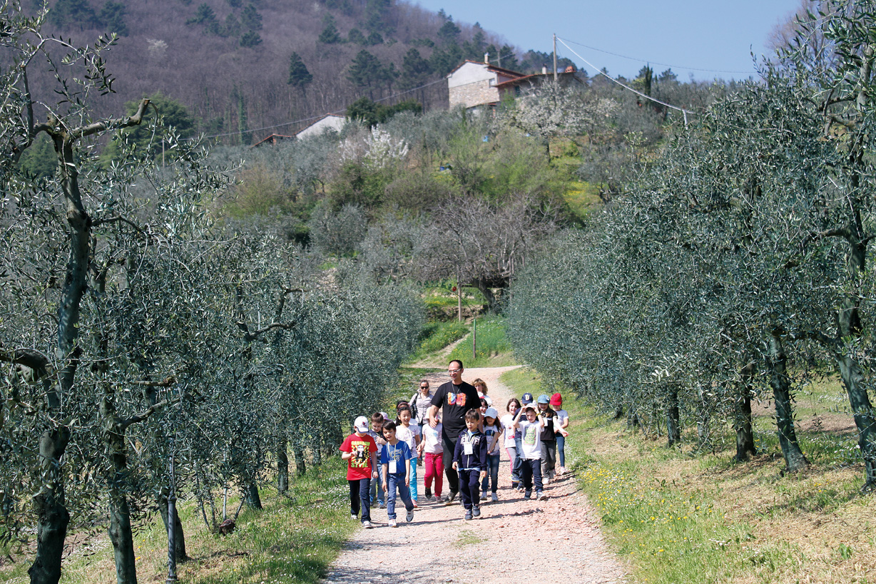 buggiano scuola 5