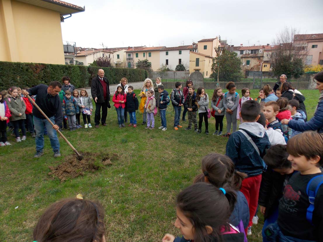 festa albero pistoia 01