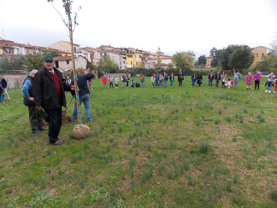 festa albero pistoia 02