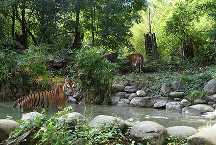 zoo pistoia 02