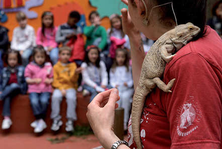 zoo pistoia 03