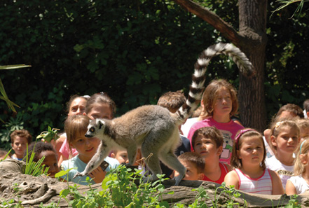 zoo pistoia 04