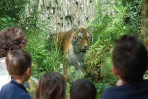 zoo pistoia gallery 02