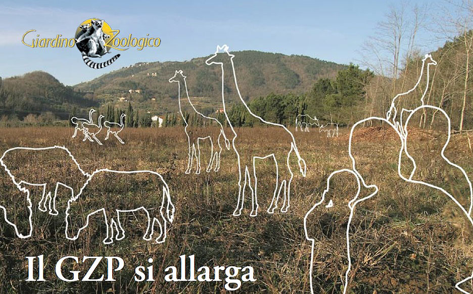 zoo si espande