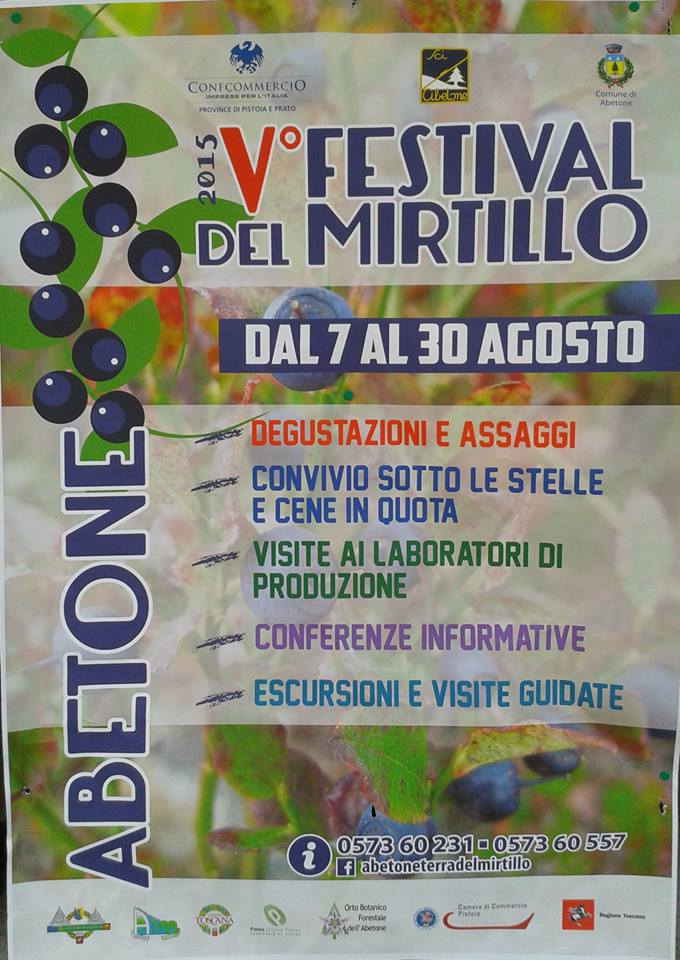 volantino festival mirtillo 2016