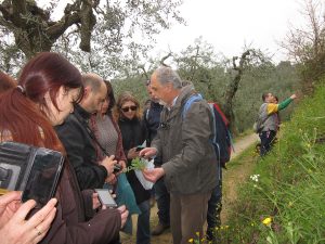 corso-erbe-padule