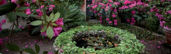 giardini-segreti-buggiano-castello