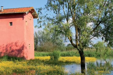 Marsh-Fucecchio-most-extensive-internal-humid-area-Italy