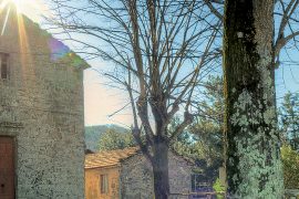 valli-piteglio-natura-fede