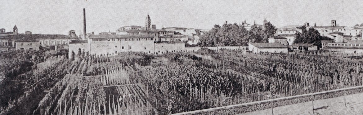 storia-vivaismo