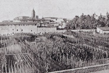 storia-vivaismo