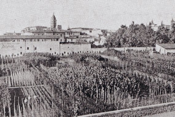 storia-vivaismo