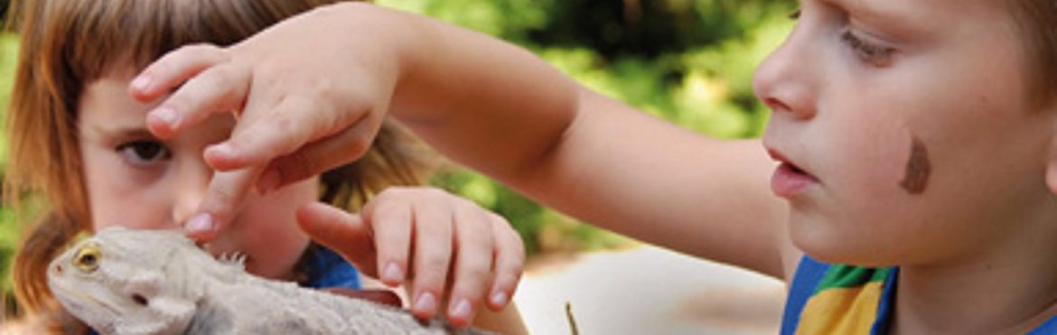 Conservare la biodiversità