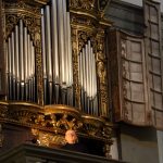 Organo_11