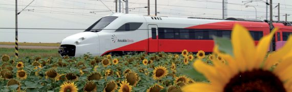 Prego, mi spedisca una metropolitana