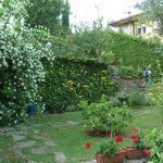 giardini_buggiano_16