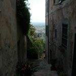 giardini_buggiano_6