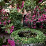 giardini_buggiano_8