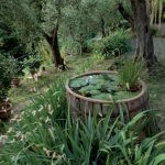 giardini_buggiano_9