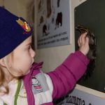 zoo_n3_orso_2