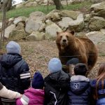 zoo_n3_orso_5