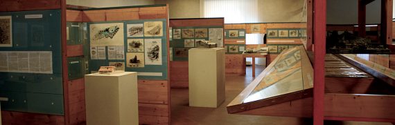 museo-territorio