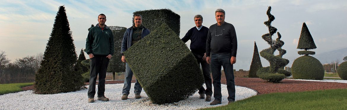arte-topiaria