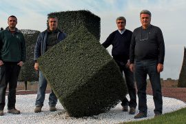arte-topiaria