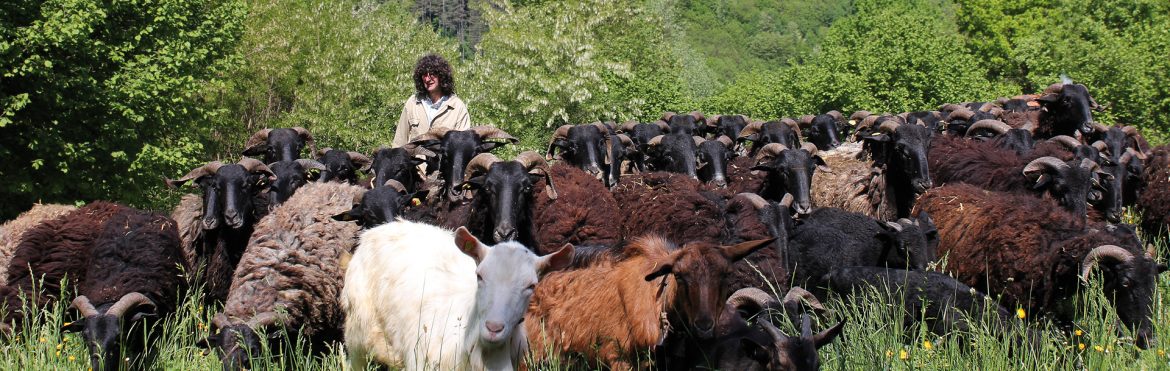 pastori-innamorati-monti-valli-lavoro