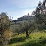 borgo-tizzana-10