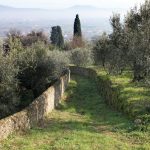 borgo-tizzana-4