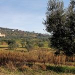 borgo-tizzana-6