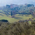 borgo-tizzana-7