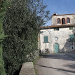 borgo-tizzana-8