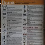la-querciola-11