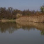 la-querciola-13