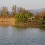 la-querciola-17