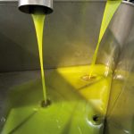 olio-10