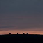 paesaggio-montagna-10
