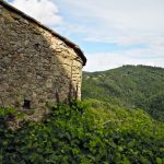 serra-pistoiese-11