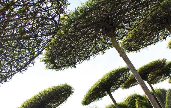 Coprirsi di verde